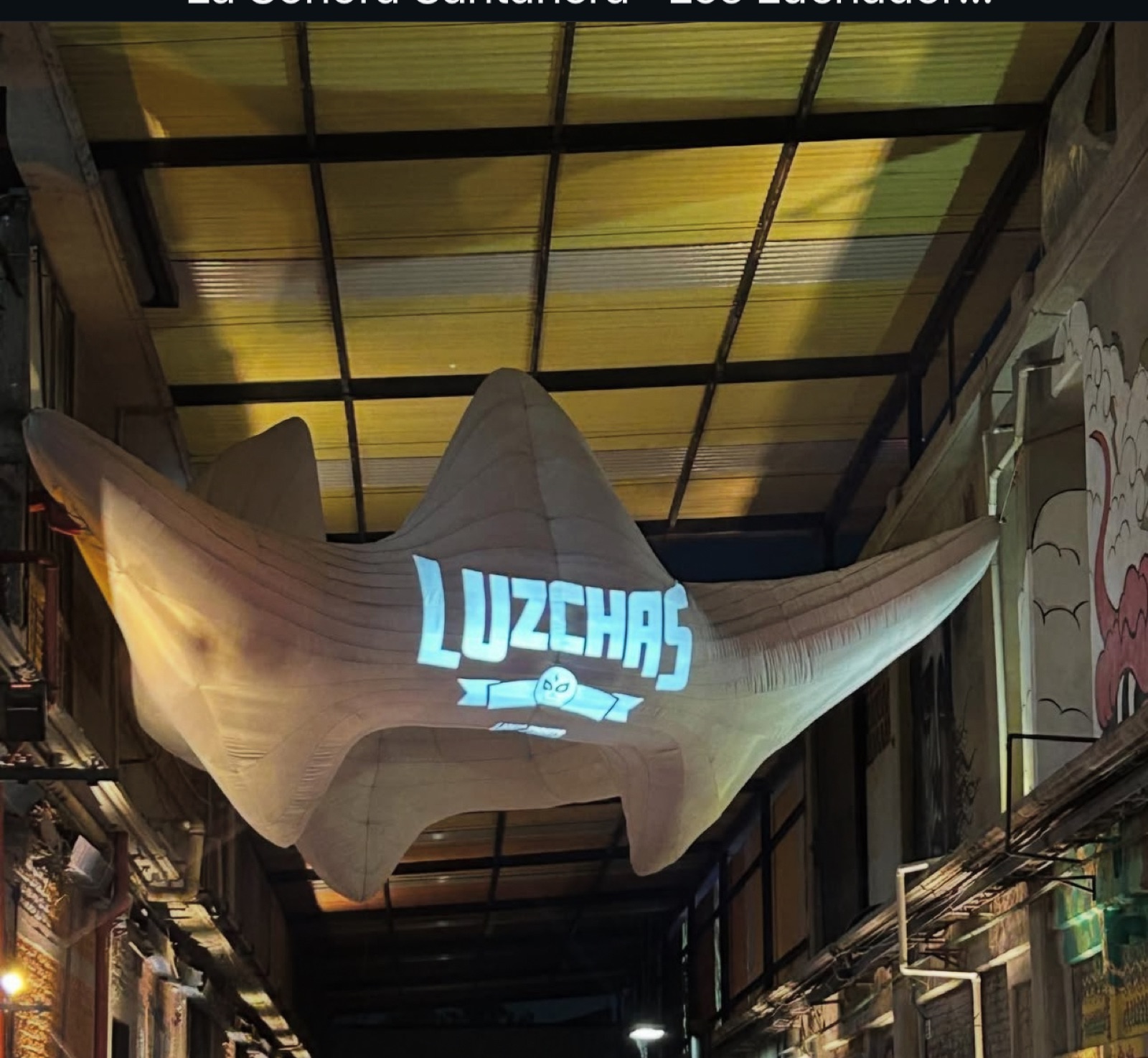 Luzchas 2024